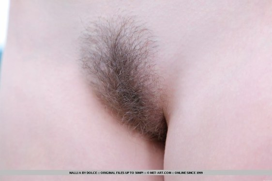 Nalli A For Met-Art - 10